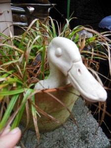duckhead