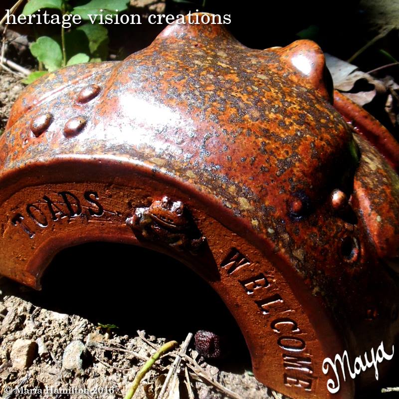 Wood Fired Toad Face Toad Hide