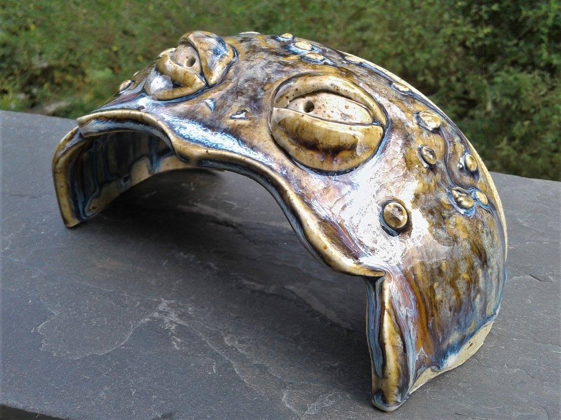 Rutile Blue Toad Face Toad Hide