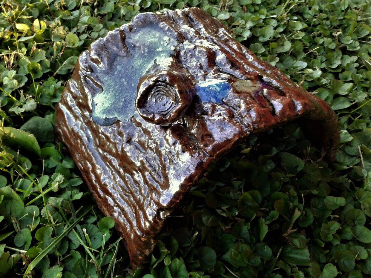 Log Toad Hide