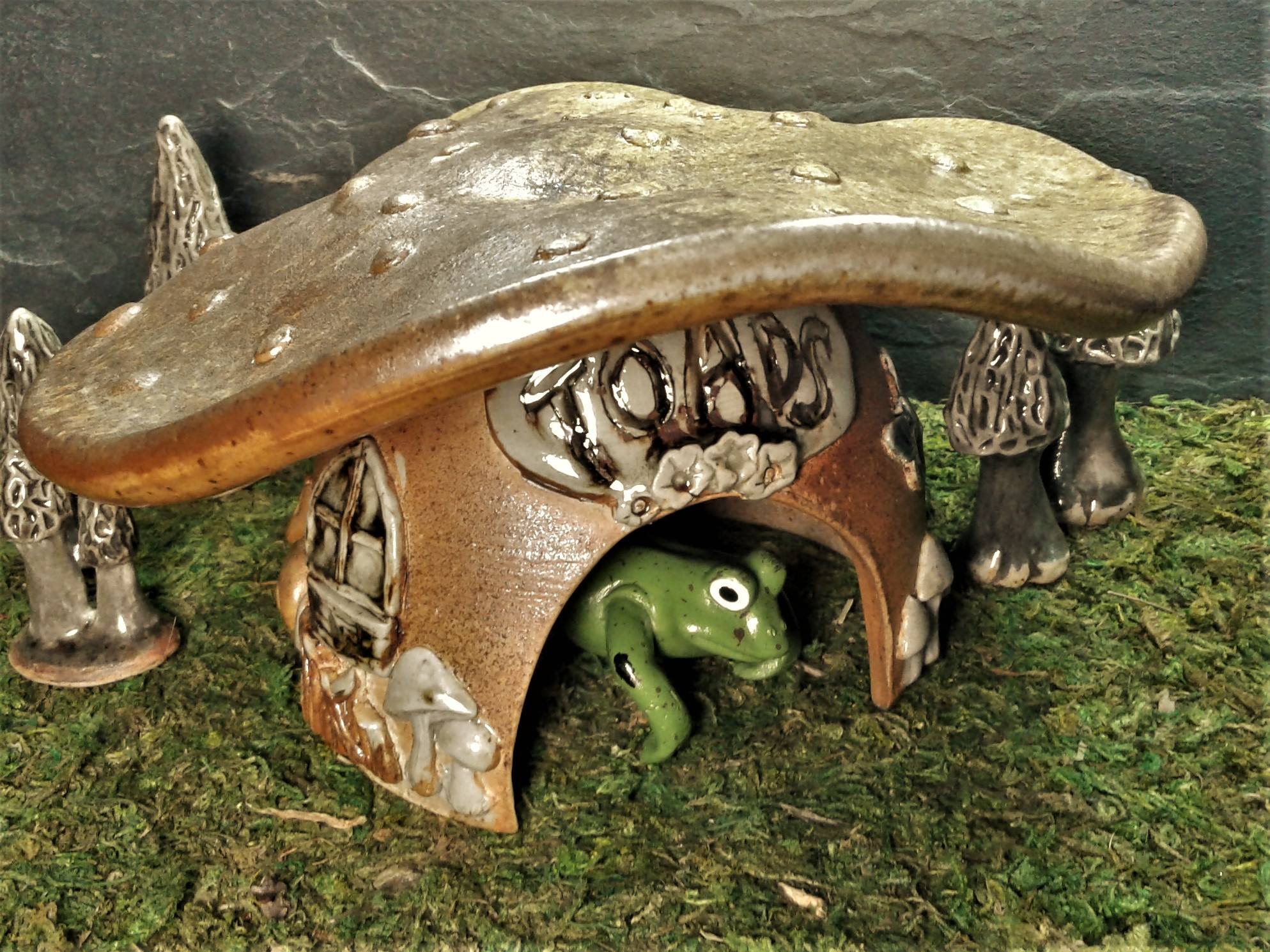 Mushroom Toad House
