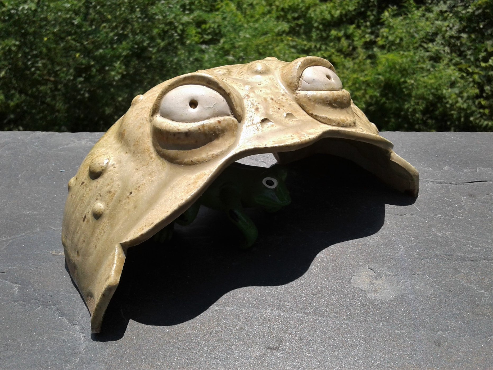 Toad Face Toad Hide in Cream with Warts