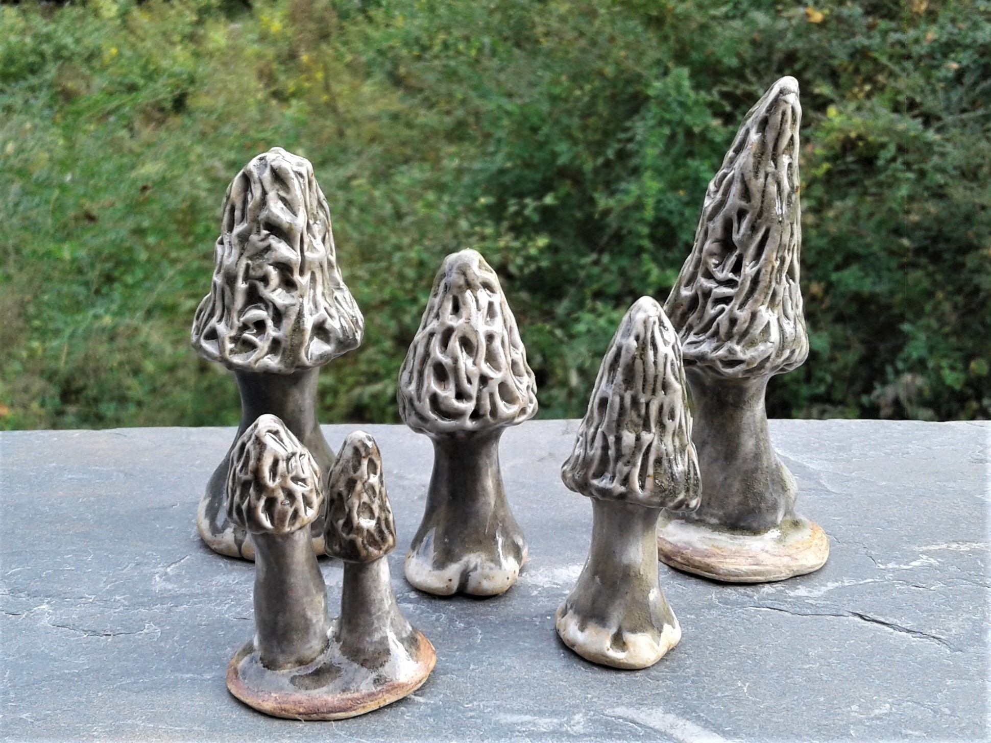 Morel Mushrooms